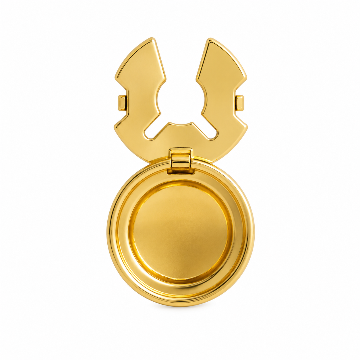 The Tigerstone Gold Button Cover - Flat Lay